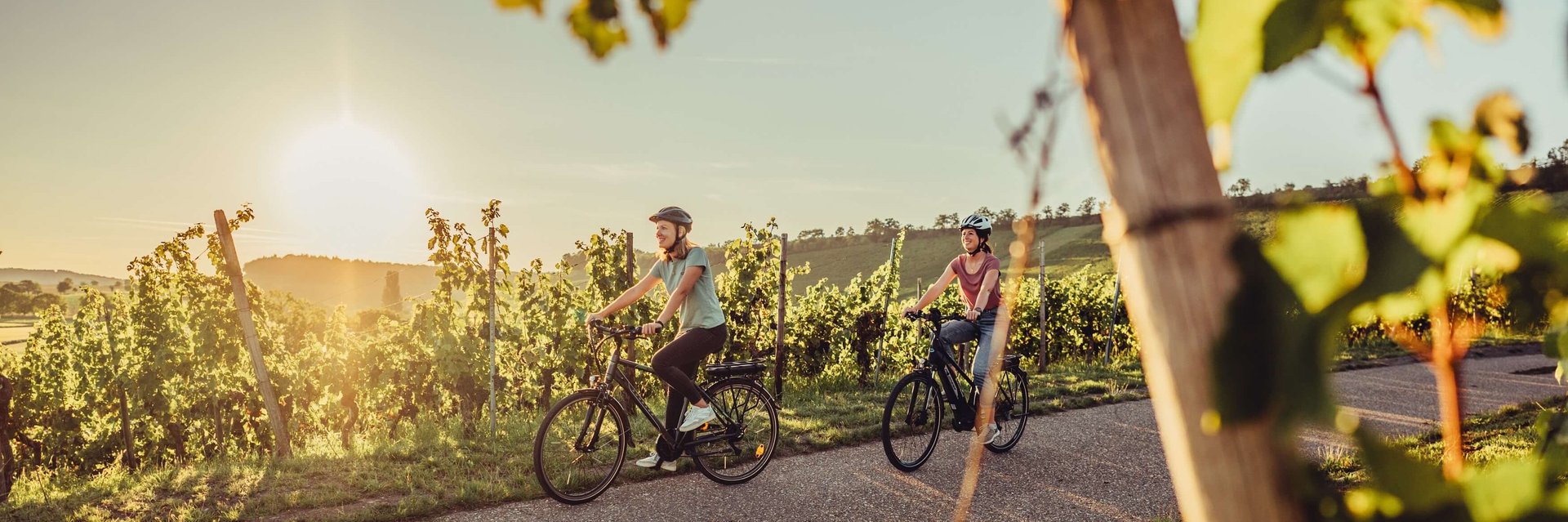 Weinradwege | Radtouren für Genießer
