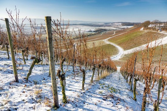Winter im HeilbronnerLand | © anzock photographY
