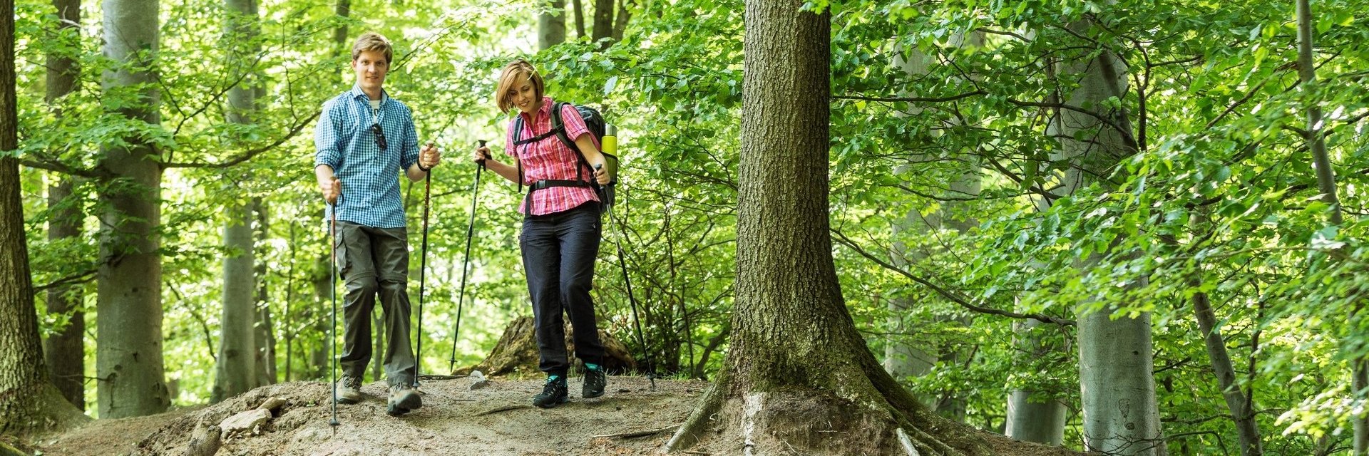 NaturparkTouren | Unterwegs im Stromberg-Heuchelberg & im Schwäbisch-Fränkischen Wald